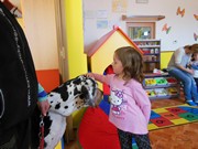 Bezpečný pes - kynologie